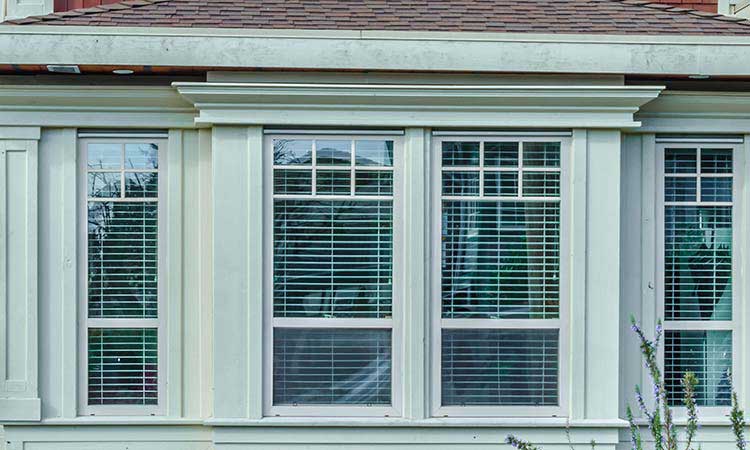 Double Hung Windows